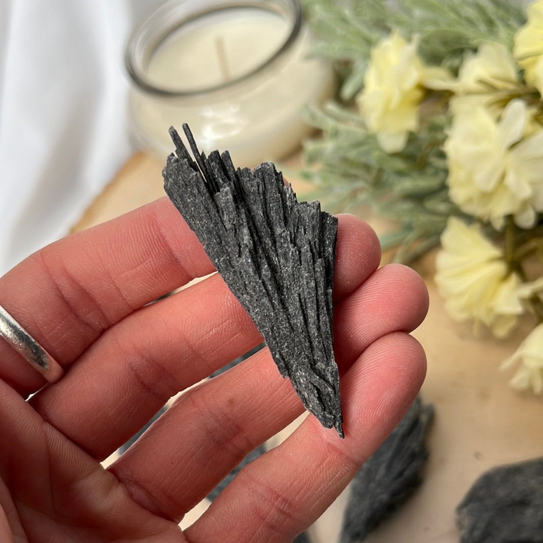 Black Kyanite Blades