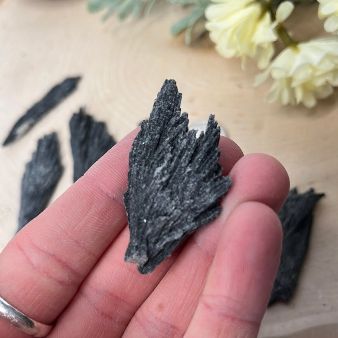 Black Kyanite Blades