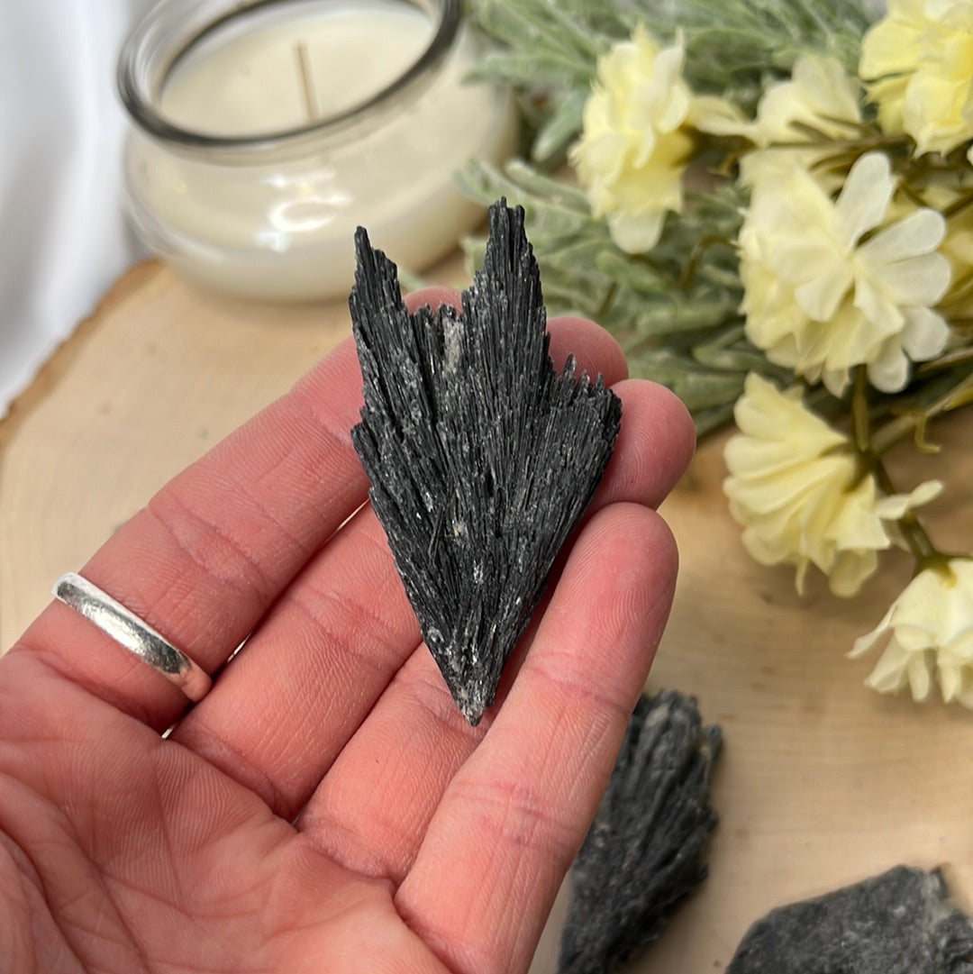 Black Kyanite Blades