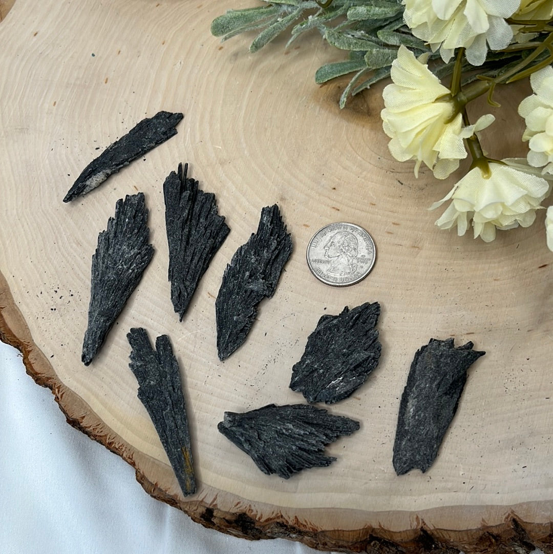 Black Kyanite Blades