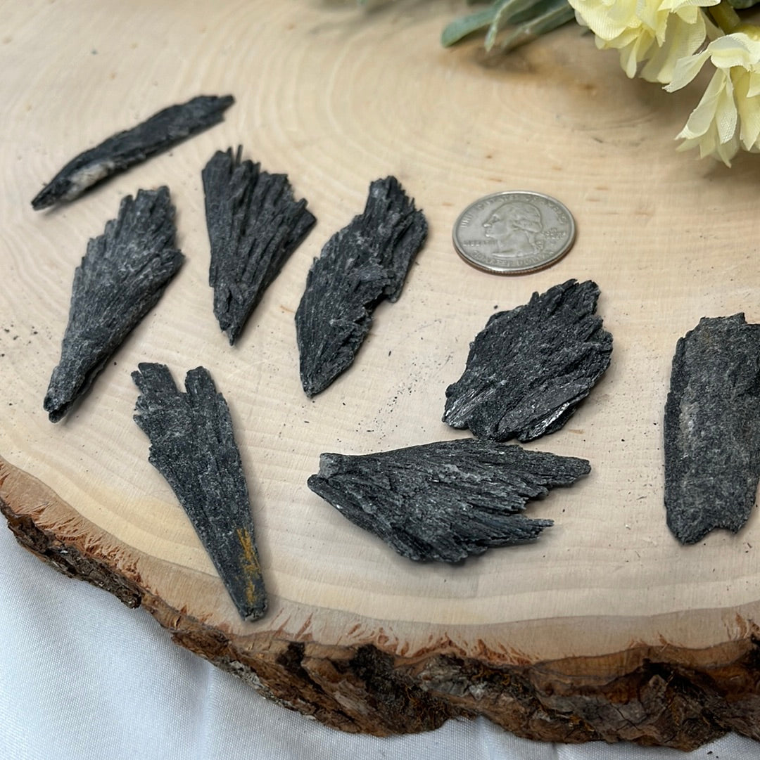 Black Kyanite Blades