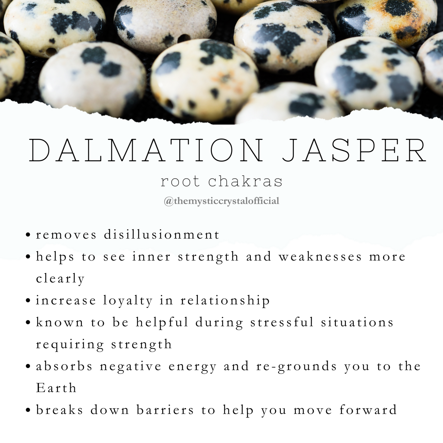 Dalmatian Jasper Small Round Bracelet
